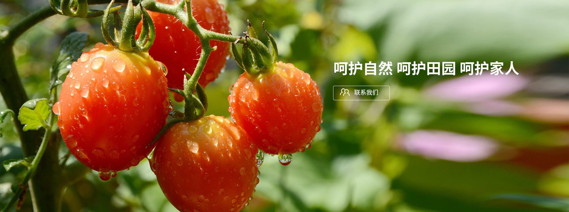呵護(hù)自然，呵護(hù)田園，呵護(hù)家人