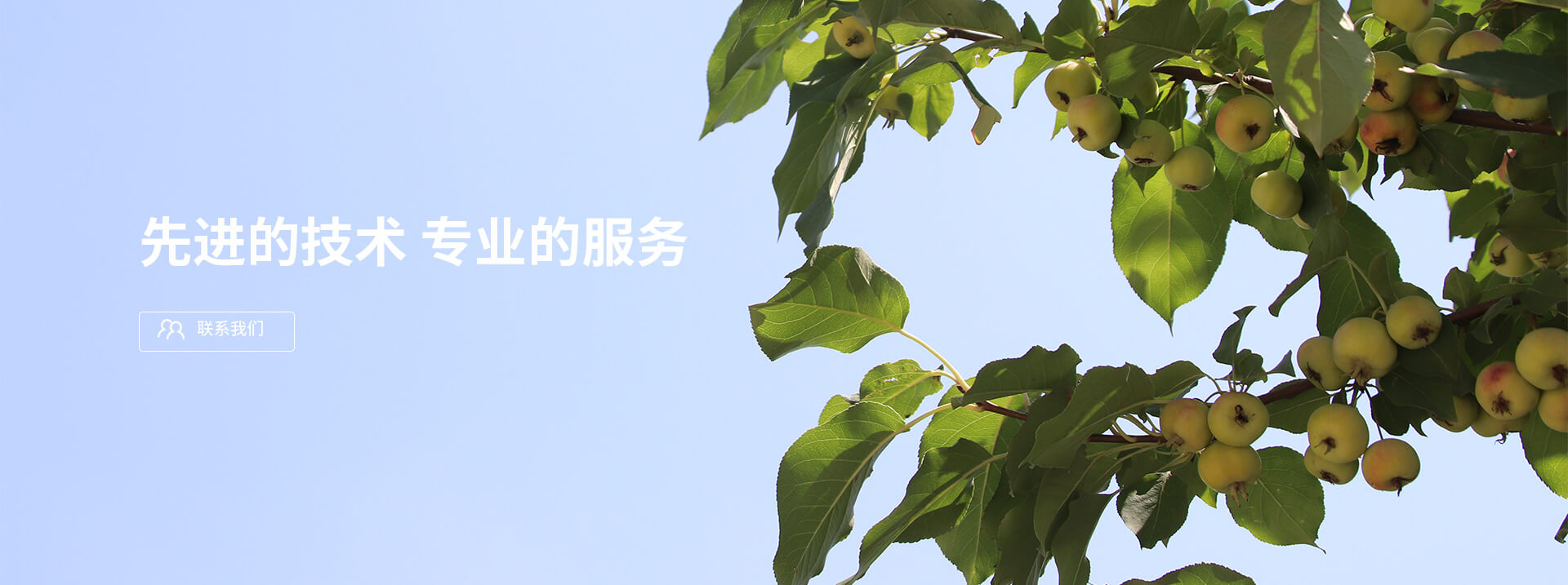 先進(jìn)的技術(shù)，專(zhuān)業(yè)的服務(wù)