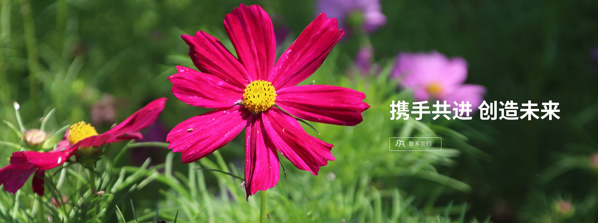 攜手共進(jìn)，創(chuàng)造未來(lái)